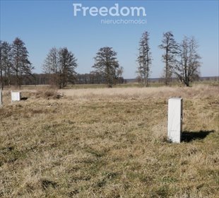 działka na sprzedaż 2500m2 działka Niedźwiedzice