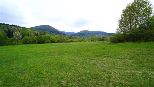 działka na sprzedaż 28200m2 działka Kunkowa