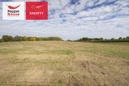 Polecam działkę 1251 m² w otulinie Kaszubskiego Parku działka Staniszewo, Raj, Rajska