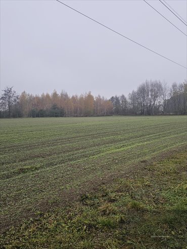 działka na sprzedaż 1100m2 działka Władysławów