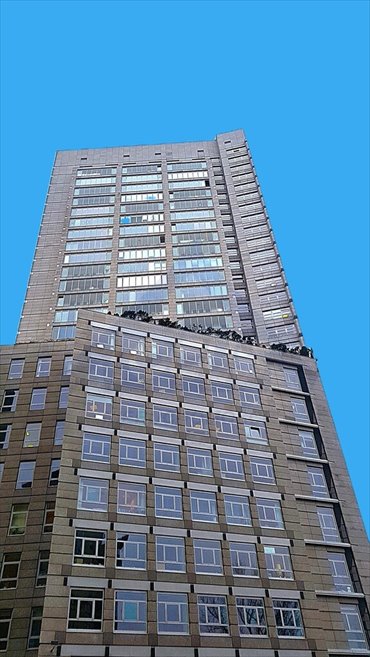 Zapraszam do wynajmu nowoczesnego lokalu 123 m² w Śródmieściu lokal użytkowy Warszawa, Śródmieście