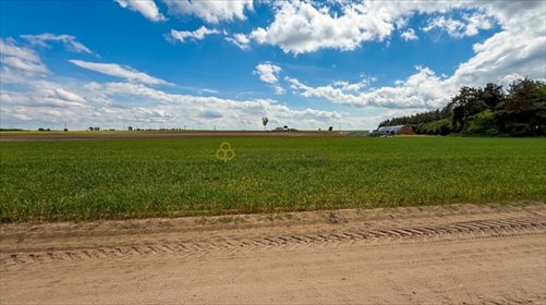 Działka 5600 m² z warunkami zabudowy - polecam działka Świątniki Małe