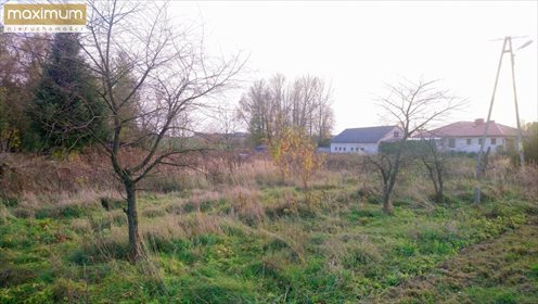 Działka budowlana na sprzedaż Różaniec 1 753m2 Foto 5