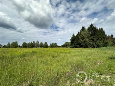 działka na sprzedaż 18870m2 działka Kawęczynek, Prosta