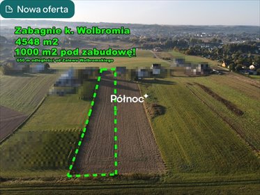Działka 4548 m2 z mediami, blisko Zalewu Wolbromskiego. działka Zabagnie, Działkowa