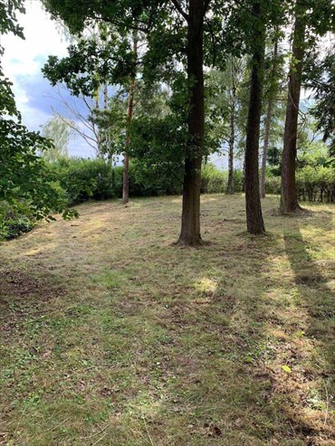 dom na sprzedaż 70m2 dom Izbica, Izbica