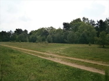 Polecam działkę 3000 m² z możliwością podziału i zabudowy działka Arciechów, Ogólna