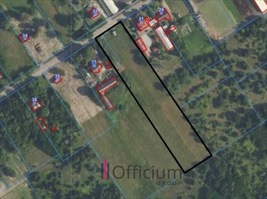 działka na wynajem 8000m2 działka Nowy Modlin