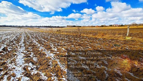 działka na sprzedaż 3500m2 działka Płouszowice-Kolonia
