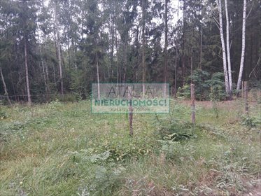 Działka 1050 m² z uzbrojeniem i potencjałem rekreacyjnym działka Ojrzanów