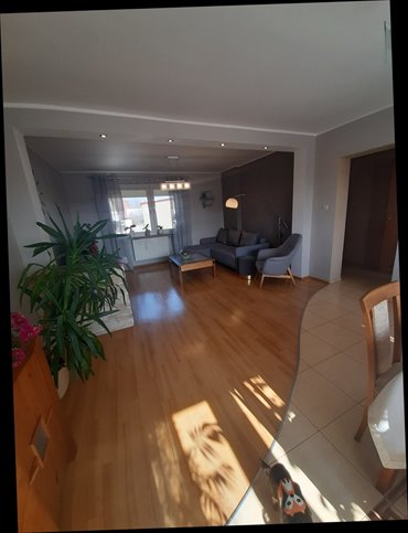 Dwurodzinny dom 280 m² z tarasami i garażem w Psie Polu dom Wrocław, Psie Pole, Bolesława Krzywoustego