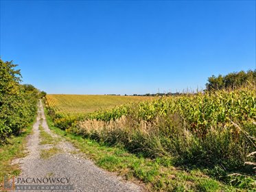 Do sprzedania działka rolna 58 arów w Owczarach działka Owczary