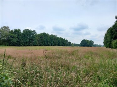 działka na sprzedaż 1064m2 działka Chybie, Dworcowa