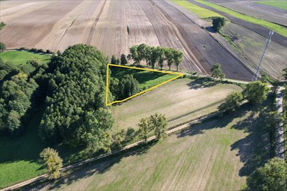 działka na sprzedaż 3400m2 działka Swoboda