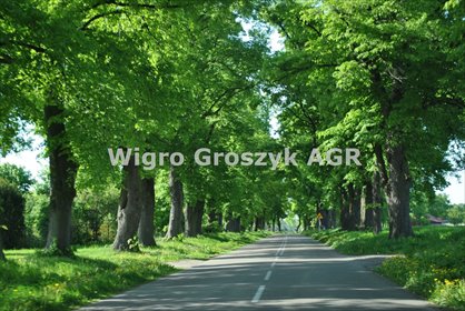 działka na sprzedaż 3420m2 działka Pasikonie