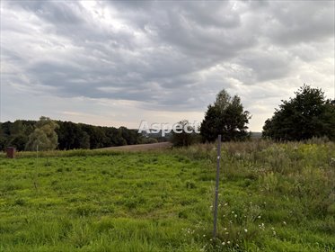 działka na sprzedaż 1450m2 działka Turza Śląska