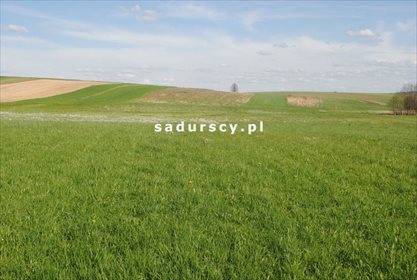 Działka rolna na sprzedaż Ściborzyce 34 334m2 Foto 5
