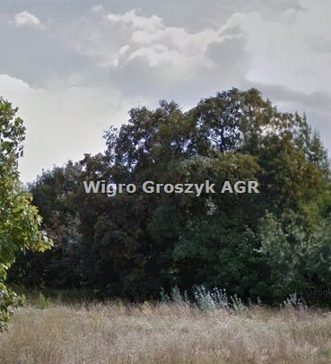 działka na sprzedaż 44500m2 działka Płońsk