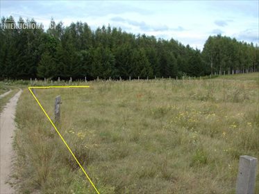 Działka rolna na sprzedaż Lubień, Lubień 46 500m2 Foto 5