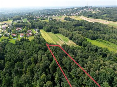 Zapraszam do zakupu lasu 98 arów w Zawadzie działka Zawada