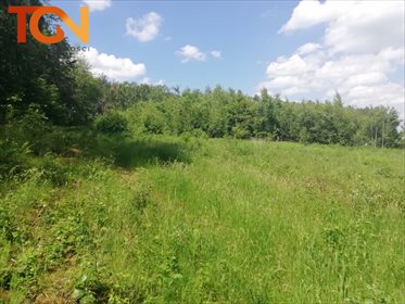 Działka budowlana na sprzedaż Dąbrówka 6 891m2 Foto 2