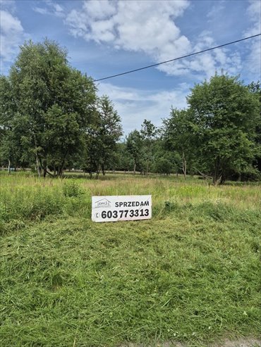 działka na sprzedaż 3200m2 działka Tworóg Mały