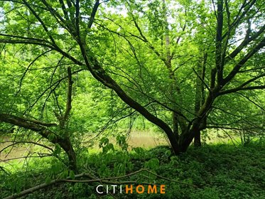 działka na sprzedaż 1319m2 działka Otwock, Mlądz