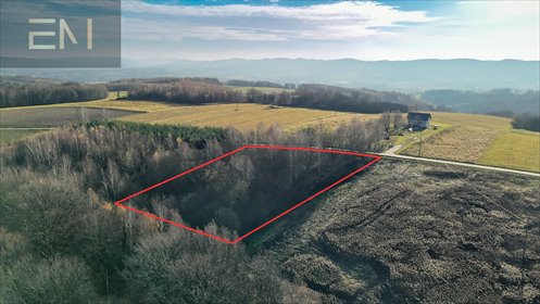 Widokowa działka 4,5 ha z mediami i lasami - polecam! działka Niewodna