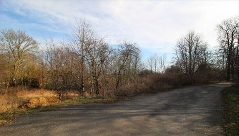 Działka inwestycyjna na sprzedaż Czymanowo 31 887m2 Foto 4