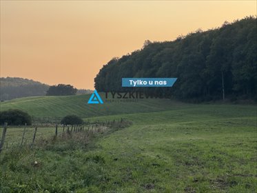 Działka przy lesie i narciarskim ośrodku Trzepowo działka Trzepowo, Mestwina