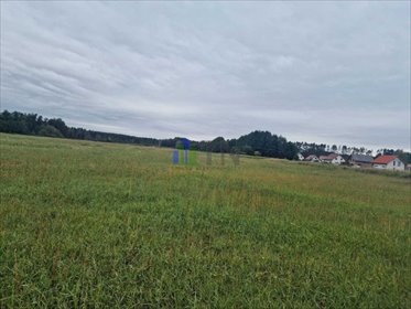 działka na sprzedaż 1000m2 działka Nowy Dwór