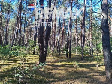 Działka rekreacyjna 2528 m² w Wilga, blisko natury - polecam! działka Osiedle Wilga, Bolka i Lolka