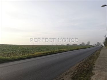 Działka budowlana na sprzedaż Poznań, Fabianowo 16 145m2 Foto 3