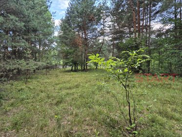 Sprzedam działkę 1500 m² w Maryninie z MPZP i mediami działka Marynin