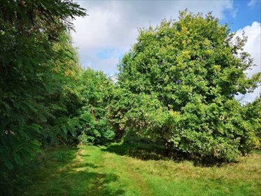 działka na sprzedaż 18458m2 działka Świeszewo