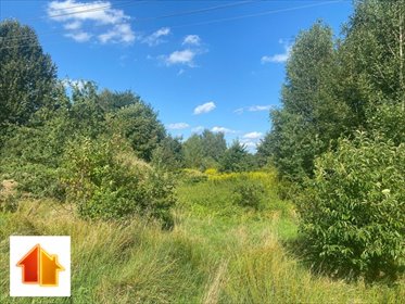 działka na sprzedaż 4234m2 działka Żory, Kradziejówka