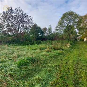 działka na sprzedaż 942m2 działka Nieborów, Aleja Legionów Polskich