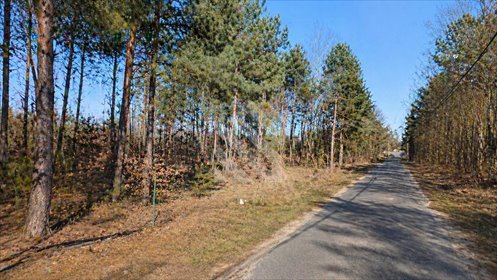 Działka 2921 m² z potencjałem inwestycyjnym i dostępem do mediów działka Słończ