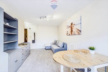 mieszkanie na wynajem 24m2 mieszkanie Zielona Góra, Krośnieńska