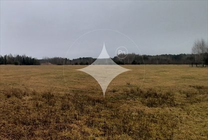 działka na sprzedaż 3001m2 działka Pasynki