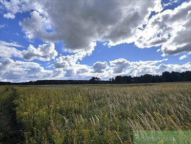 Do sprzedania przestronna działka 3024 m² pod zabudowę w Żółwiej Błoci działka Żółwia Błoć