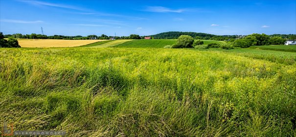 Działka rolna 73 arów w Bibicach - atrakcyjna lokalizacja działka Bibice