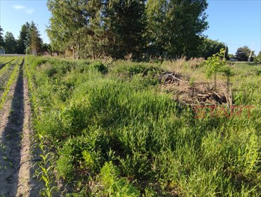 Działka budowlano-usługowa 3480 m² w Chrzanowie Dużym zapraszam działka Chrzanów Duży