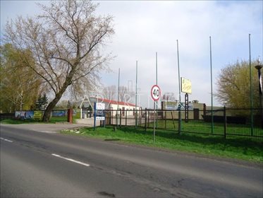 Lokal użytkowy na wynajem Piątek 1 000m2 Foto 4