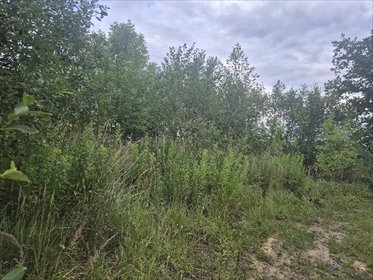 Działka 1003 m² z mediami - spokojna okolica w Poczesnej działka Poczesna, BRZEZINY KOLONIA