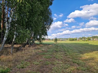 działka na sprzedaż 3776m2 działka Krynickie