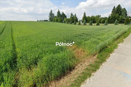 Polecam inwestycyjną działkę 1 ha z mediami i spokojną okolicą działka Poręba Dzierżna