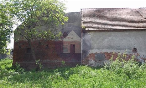 Działka siedliskowa na sprzedaż Szczytniki Nad Kaczawą 7 300m2 Foto 6