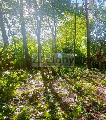 działka na sprzedaż 1690m2 działka Milanówek