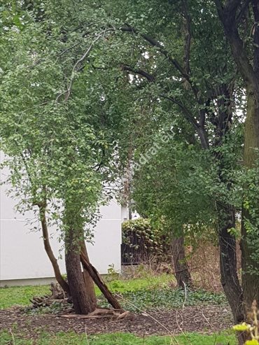 Działka budowlana na sprzedaż Pruszków, Tworki 985m2 Foto 1